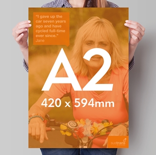 Picture for category Large Format Poster Printing
